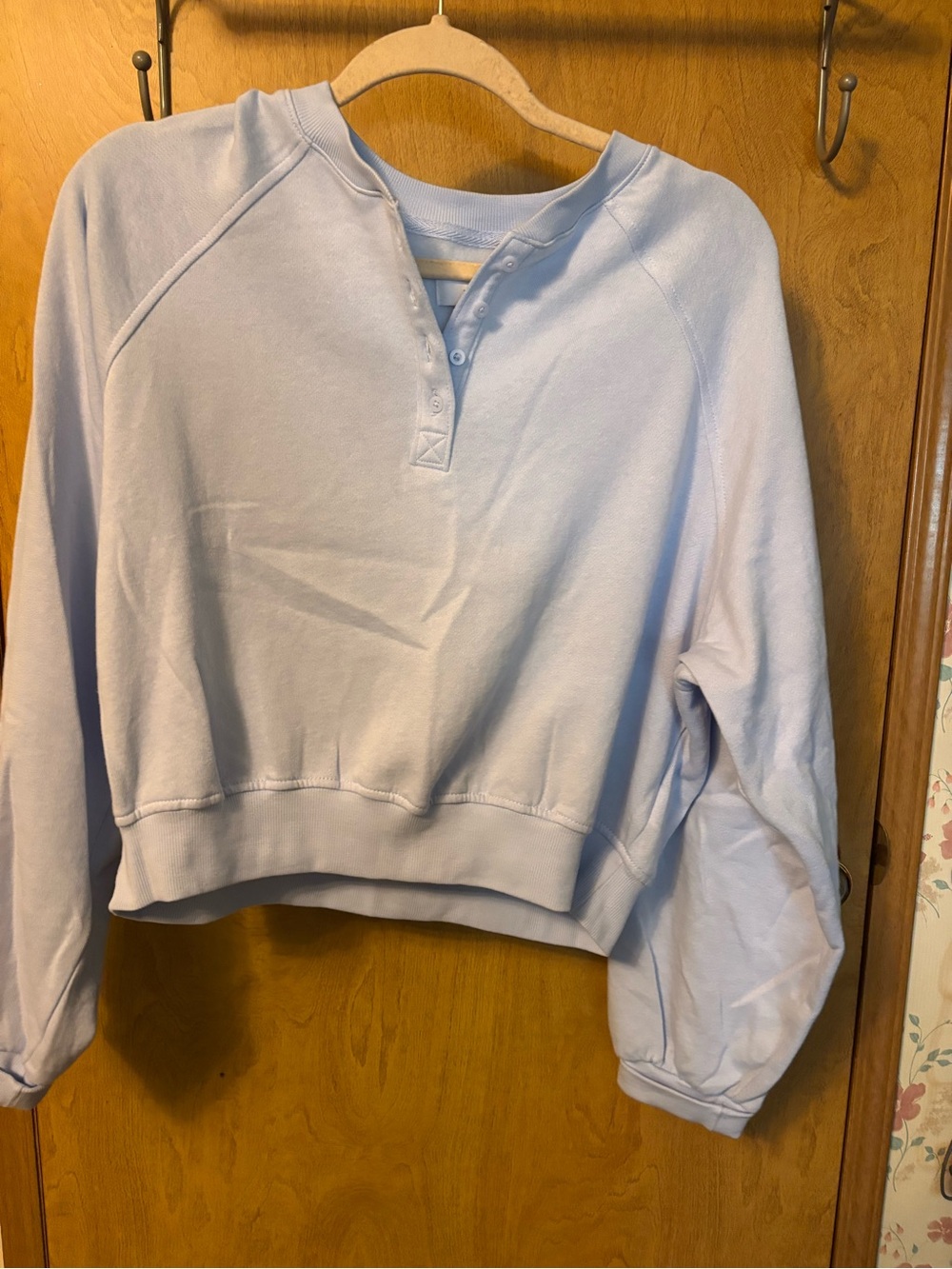 Old Navy Pale Blue Henley Crop Sweatshirt